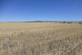 Property photo of 10834 Gwydir Highway Delungra NSW 2403