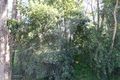 Property photo of 21-23 Angus Avenue Ringwood East VIC 3135