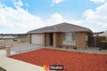 Property photo of 7 Peter Coppin Street Bonner ACT 2914