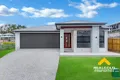 Property photo of 13 Knightsbridge Street Pallara QLD 4110