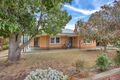 Property photo of 11 Francis Street East Nuriootpa SA 5355