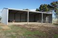 Property photo of 53 McFarlane Road Coomunga SA 5607