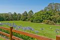 Property photo of 9 Rail Close Dayboro QLD 4521