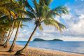 Property photo of 5/5-7 Amphora Street Palm Cove QLD 4879