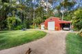 Property photo of 5 Clorinda Place Palmview QLD 4553