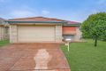 Property photo of 37 Dorian Crescent Sippy Downs QLD 4556