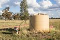 Property photo of 400 Newell Highway Gilgandra NSW 2827