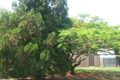 Property photo of 12 Skylark Street Slade Point QLD 4740