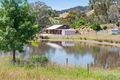 Property photo of 174 Springton Road Williamstown SA 5351