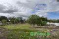 Property photo of 37 Dubbo Street Coonamble NSW 2829