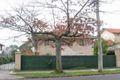 Property photo of 3/41 Paxton Street Malvern East VIC 3145