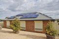 Property photo of 7 Eckermann Close Paringa SA 5340