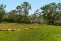 Property photo of 10 Clunes Close Ilarwill NSW 2463