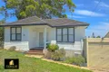 Property photo of 138 Townview Road Mount Pritchard NSW 2170