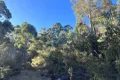 Property photo of 2204 East Tamar Highway Mount Direction TAS 7252