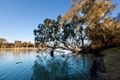 Property photo of 2 Adelong Court Nichols Point VIC 3501