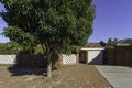 Property photo of 3 Dibb Street Balcatta WA 6021