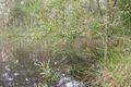 Property photo of 120 Chambers Road D'Aguilar QLD 4514
