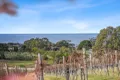 Property photo of 40 Harveys Farm Road Bicheno TAS 7215