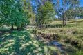 Property photo of 717 Allyn River Road Allynbrook NSW 2311