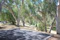 Property photo of 3A Curyer Street Klemzig SA 5087