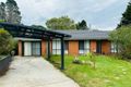 Property photo of 7 George Evans Close Wentworth Falls NSW 2782