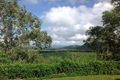 Property photo of 28 Brangus Court Kuttabul QLD 4741