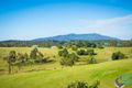 Property photo of 55 Wonga Road Narooma NSW 2546