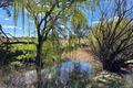 Property photo of 662 Jerrara Road Narrawa NSW 2583