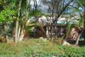 Property photo of 137 Kangaroo Gully Road Bellbowrie QLD 4070