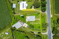 Property photo of 608 Mossman-Daintree Road Miallo QLD 4873