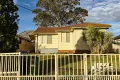 Property photo of 58 Grainger Avenue Mount Pritchard NSW 2170