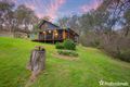 Property photo of 79 Bilga Road Invergowrie NSW 2350