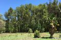 Property photo of 16 Wallaby Way Horseshoe Bay QLD 4819