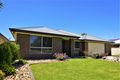 Property photo of 44 Summers Street Griffith NSW 2680