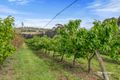 Property photo of 180 Pawleena Road Sorell TAS 7172