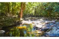 Property photo of 1900 Maleny-Stanley River Road Booroobin QLD 4552