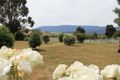 Property photo of 35930 Tasman Highway Springfield TAS 7260