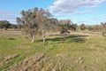 Property photo of 5 Warral-Bithramere Road Warral NSW 2340