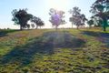 Property photo of 5 Warral-Bithramere Road Warral NSW 2340