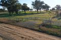 Property photo of 5 Warral-Bithramere Road Warral NSW 2340