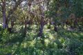 Property photo of 75 Blanch Street Boat Harbour NSW 2316