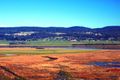 Property photo of 74 Peddie Drive Dilston TAS 7252