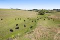 Property photo of 436-439 Bangalow Road Hayters Hill NSW 2481