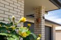 Property photo of 13 Catherine Drive Dubbo NSW 2830