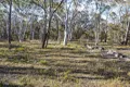 Property photo of 874 Sandy Point Road Lower Boro NSW 2580