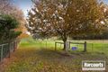 Property photo of 125 Quamby Road Guys Hill VIC 3807