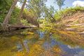 Property photo of 206 Warcons Road Cawarral QLD 4702