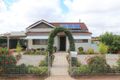 Property photo of 133 Operator Street West Wyalong NSW 2671