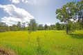 Property photo of 206 Warcons Road Cawarral QLD 4702